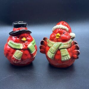 Salt and pepper Shakers Festive Red Bird Figurines with Hats and Scarves